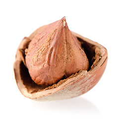 Image showing Tasty hazelnuts