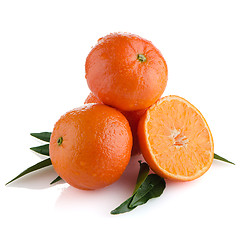 Image showing Tangerines