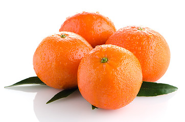 Image showing Ripe tangerines or mandarin