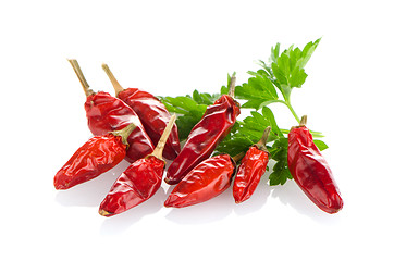 Image showing Red chili or chilli pepper and parsley leaves