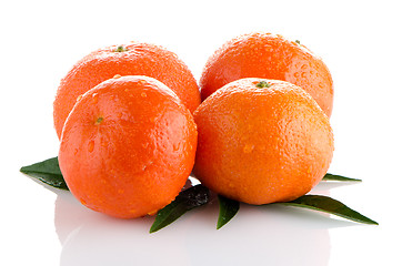 Image showing Ripe tangerines or mandarin