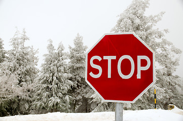 Image showing Stop road sign