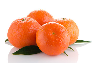 Image showing Ripe tangerines or mandarin