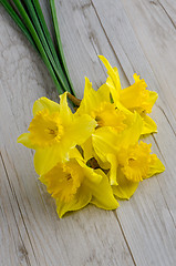 Image showing Jonquil flowers