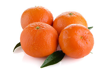 Image showing Ripe tangerines or mandarin