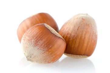 Image showing Three hazelnuts