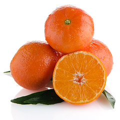 Image showing Tangerines