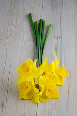 Image showing Jonquil flowers