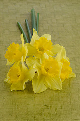 Image showing Jonquil flowers