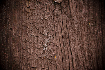 Image showing Old wood texture