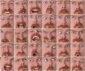 Image showing Details of large facial expressions 