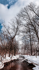 Image showing winter river and trees