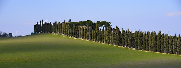 Image showing Tuscan farmhouse (Podere)