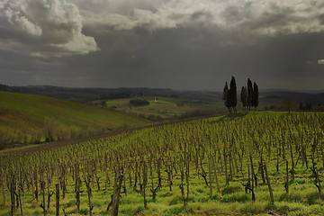 Image showing Tuscan landscape