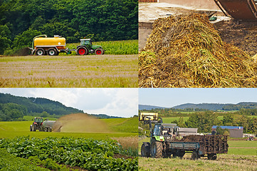 Image showing tractor with dung trailer