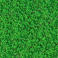 Image showing Seamless Texture. Green Meadow Grass.