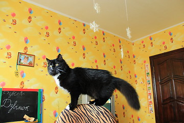 Image showing Black cat on a chair in a children's room