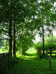 Image showing summer landscape of little rural street