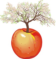 Image showing new apple tree In Spring