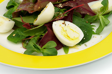 Image showing Greens Salad