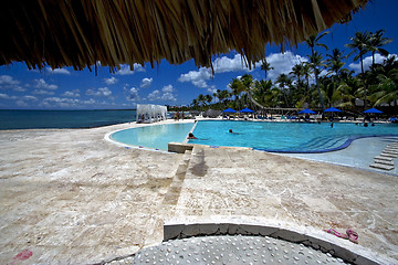 Image showing   dominicana pool tree palm  peace marble