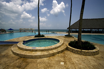 Image showing  republica dominicana pool tree palm  peace 