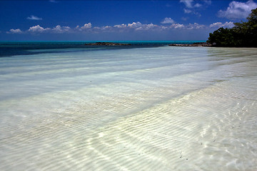 Image showing cloudy  relax and coastline in the caraibbien blue lagoon 