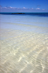 Image showing  froth cloudy  relax and coastline in the caraibbien  