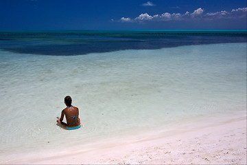 Image showing relax and coastline in the caraibbien blue lagoon 