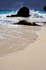 Image showing  froth  and coastline in mexico playa del carmen