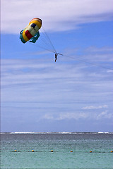 Image showing  parachute mauritius belle mare