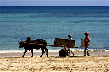 Image showing hand cart  people dustman