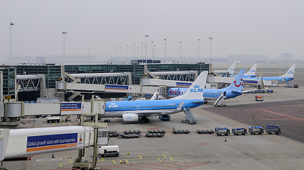 Image showing Amsterdam, Netherlands: KLM planes being loaded