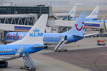 Image showing Amsterdam, Netherlands - KLM planes being loaded