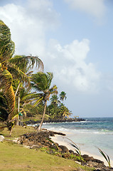 Image showing Sally Peaches beach Sally Peachie Big Corn Island Nicaragua Cari