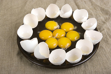 Image showing eggs 