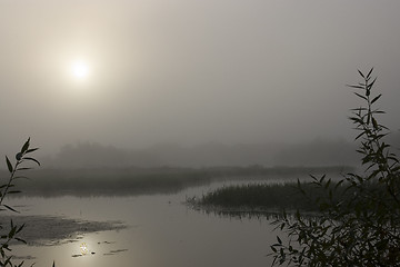 Image showing Foggy morning