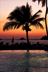 Image showing pool  parasol  lagoon and coastline 