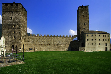 Image showing  in the grass of bellinzona switzerlan