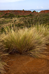 Image showing hill bush plant lagoon and coastline in madagascar 