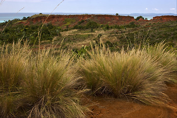 Image showing hill bush plant lagoon and coastline