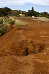 Image showing lighthouse  hill bush plant lagoon 