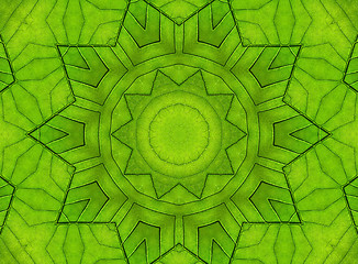 Image showing Green leaf abstract pattern