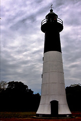 Image showing lighthouse  hill bush plant   