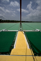 Image showing tropical lagoon catamaran navigable   in republica dominicana