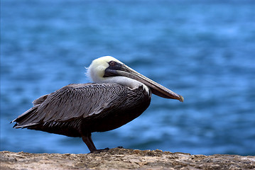 Image showing black eye in rock republica dominicana