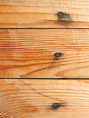 Image showing Wooden shield with nails