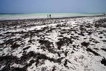 Image showing people beach and sea 