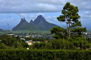 Image showing cloudy mountain plant tree