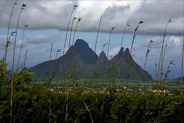 Image showing mountain plant tree and hill